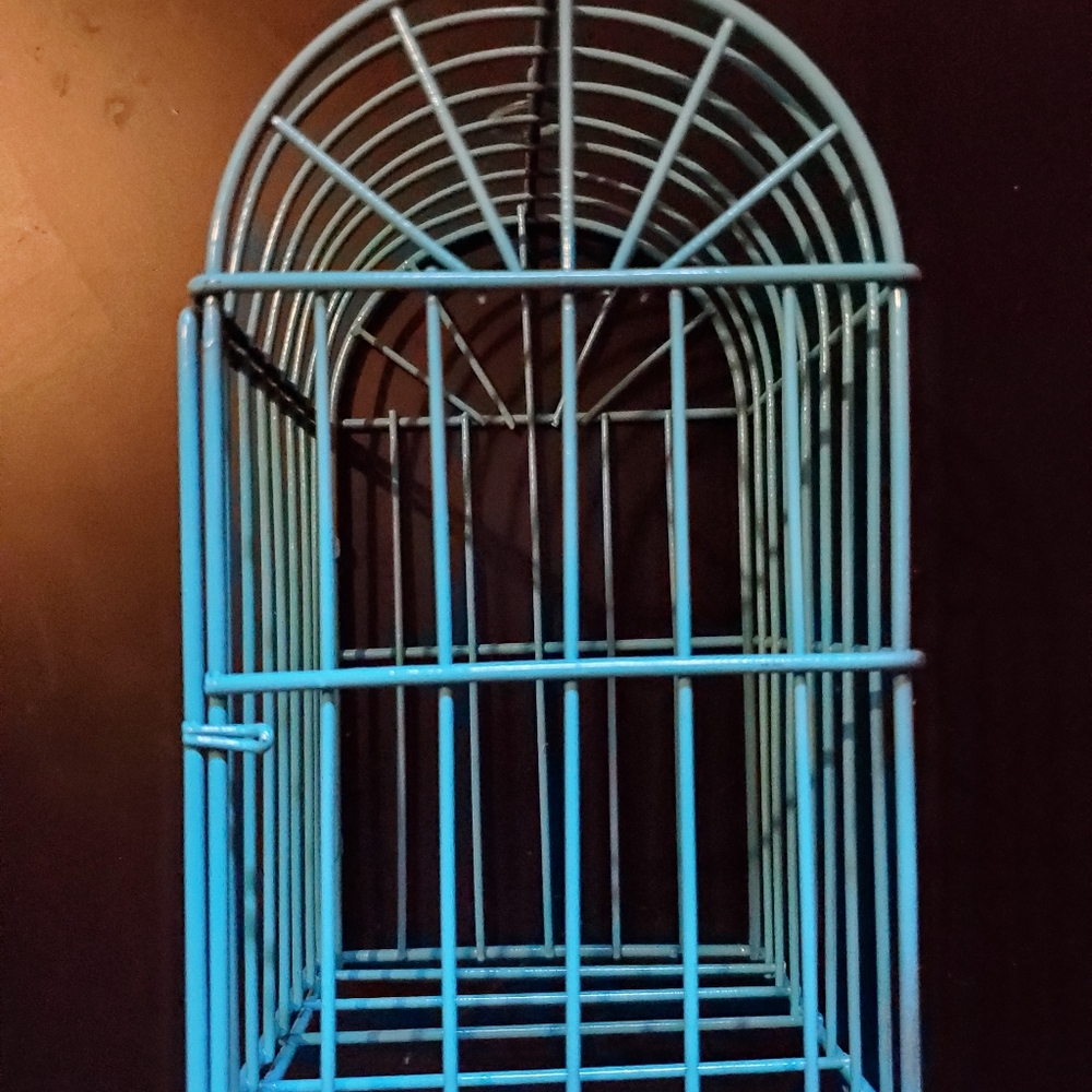 Teal birdcage decor. Recycling in a week